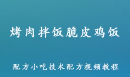 烤肉拌饭脆皮鸡饭巴西 张姐奥尔良技术配方 小吃技术配方视频教程 百度网盘资源打包下载